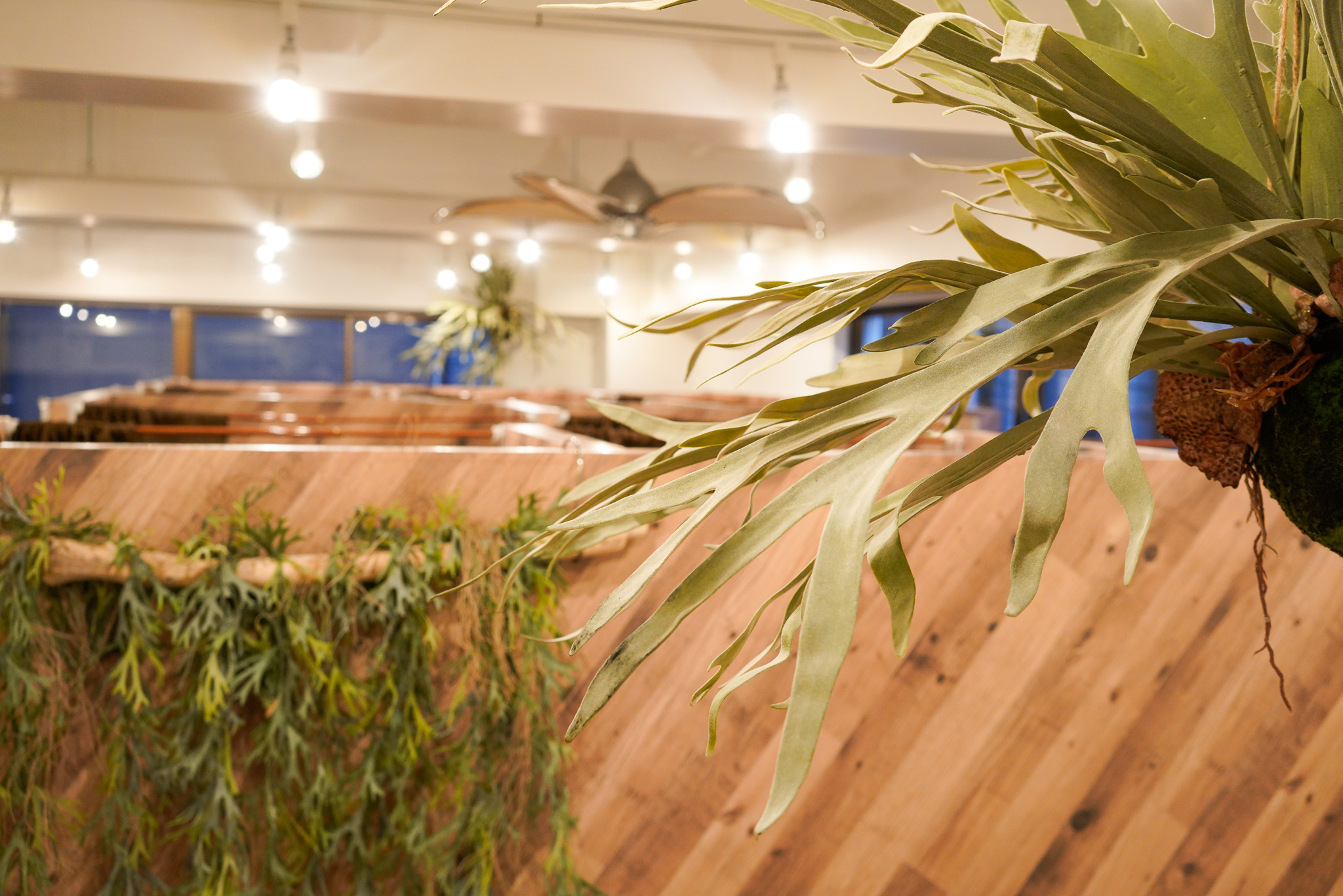 アイデスク渋谷自習室